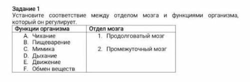 Установите соответствие между отделами мозга и функциями организма​