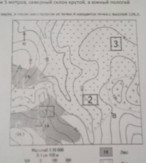 Нарисуйте холм абсолютная высота 10 м относительно 5 м расстояние между горизонталями 5М северный ск
