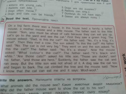 2)Why did the father mouse want to show the cat to his son ? 3) Was the mouse right? Does the cat sa