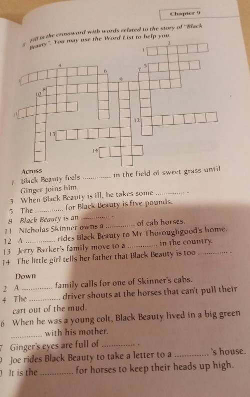 Black beauty chapter 9 crossword please​