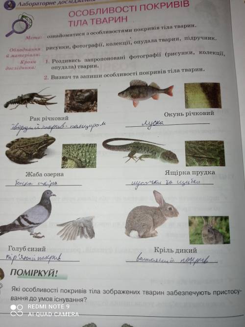 Які особливості покривів тіла зображених тварин простосування до умов існування?