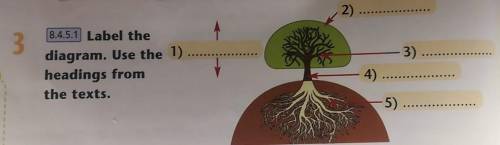 Ex-3 8.4.5 1 Label the diagram. Use the headings from the texts.