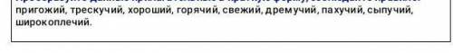 НАДО ПРЕОБРАЗИТЬ ДАННЫЕ ПРИЛАГАТЕЛЬНЫЕ В КРАТКУЮ ФОРМУ