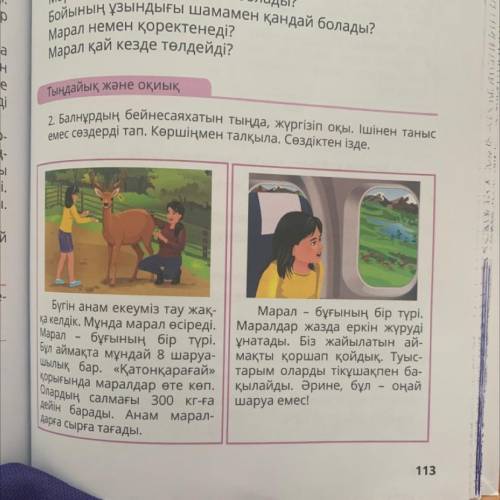 2. Балнұрдың бейнесаяхатын тыңда, жүргізіп оқы. Ішінен таныс емес сөздерді тап. Көршіңмен талқыла. С