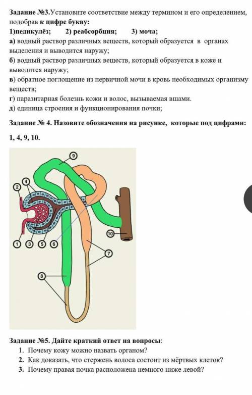 Ребята по биологии.От 3 задания до 5 ,очень