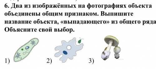 Два из изображённых на фотографиях объекта объединены общим признаком. Выпишите название объекта, «в