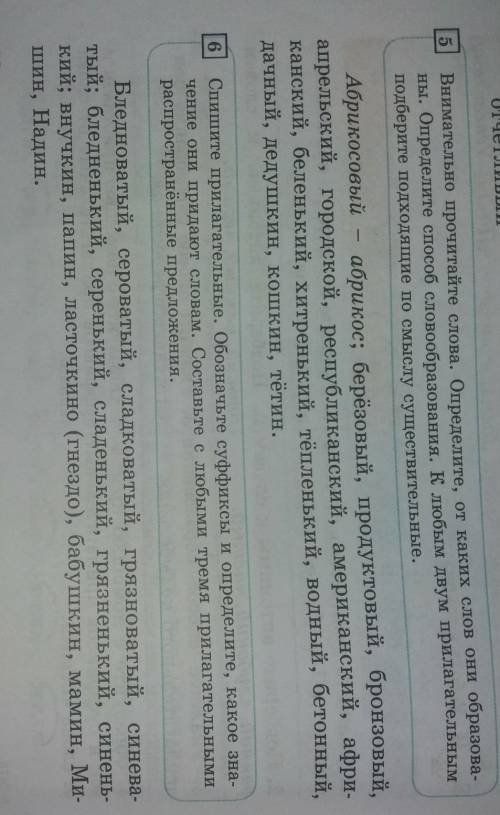 Упр.5 К прилагательным подберите существительные Упр.6 Спишите, раскрывая скобки
