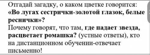 Отгадай загадку, о каком цветке говорится: «Во лугах сестрички-золотой глазок, белые реснички»? Поче