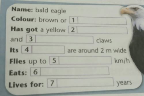 7 Listening5.16 Listen and complete the fact fileabout the bald eagle in your notebook.Name: bald ea