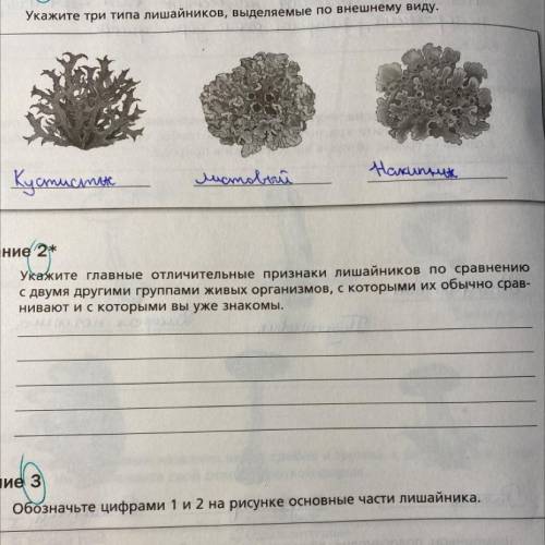 Укажите главные отличия признаки лишайников по сравнению с двумя другими группами живых организмов,