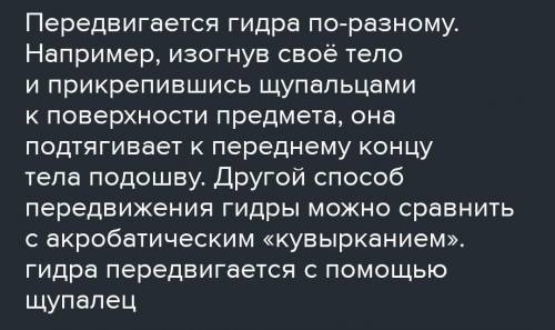 Как передвигаются-гидроидные, коралловые полипы,сцифидные.