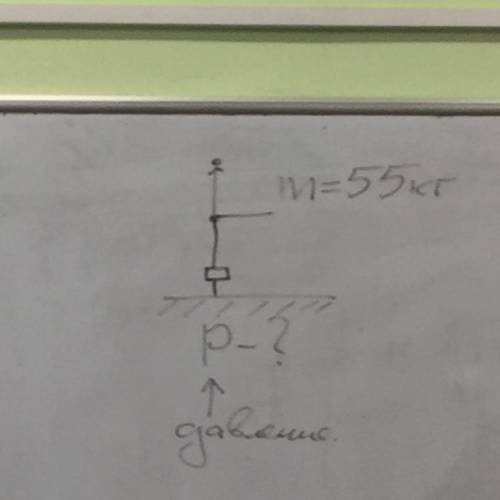 Решите задачу на давление в Паскале