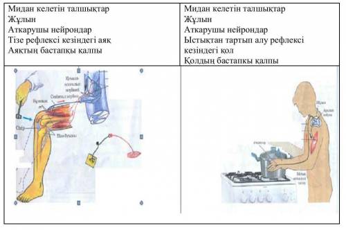 Задание 1 Найдите сходство, сравнив картинки ниже. Опишите процессы заданными словами. Задание 2