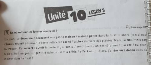 D Livre page com 1 Lis et entoure les formes correctes !Un jour, j'ai découvré / découvert une petit