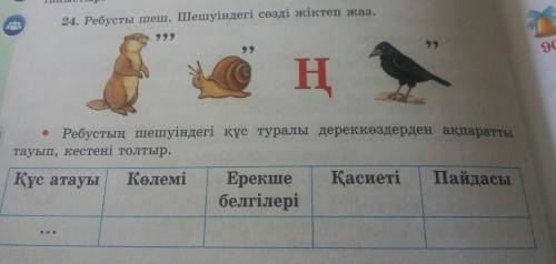 24.Ребусты шеш.Шешуіндегі сөзді жіктеп жаз. Жауабы Сұңқар Құс атауы-Сұңқар Көлемі- Ерекше белгілері-