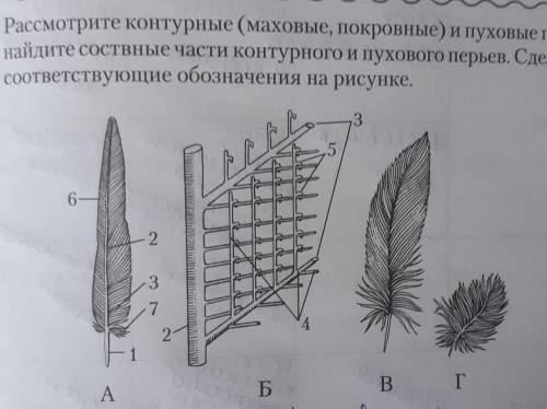 Ребят Не понимаю что это за рисунок в середине...​