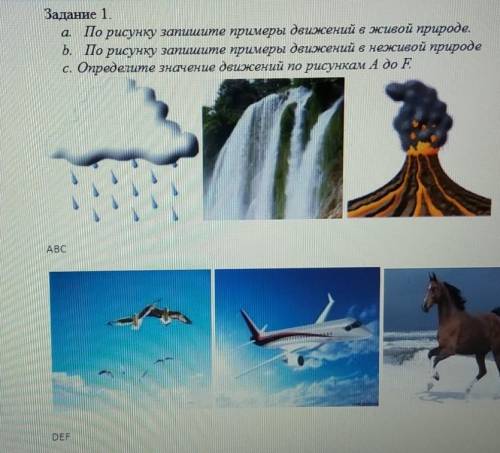 А. По рисунку запишите примеры движений в живой природе. 5. По рисунку запишите примеры движений в н