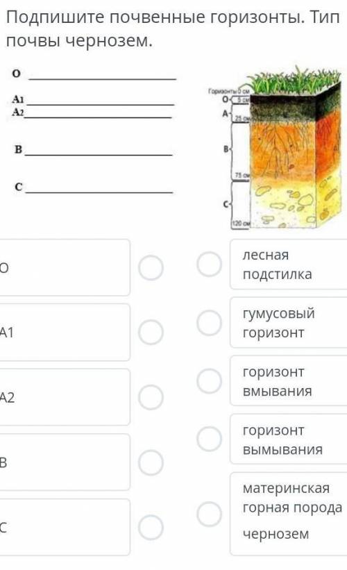 ЕСЛИ НЕ ЗНАЕТЕ ПРАВИЛЬНЫЙ ОТВЕТ НЕ ПИШИТЕ​