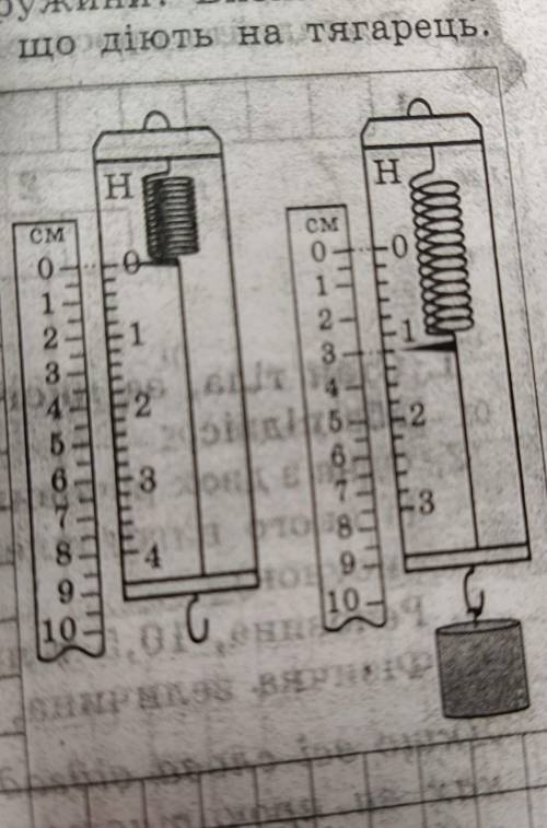 До пружини динамометра підвисили тягарець певної маси (див. рисунок). Якою є жорсткість пружини? Виз
