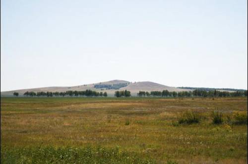 1) Какая природная зона изображена на рисунке? 2) В каком климатическом поясе расположена эта природ