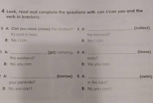 Look read and complete the questions with can i/can you​