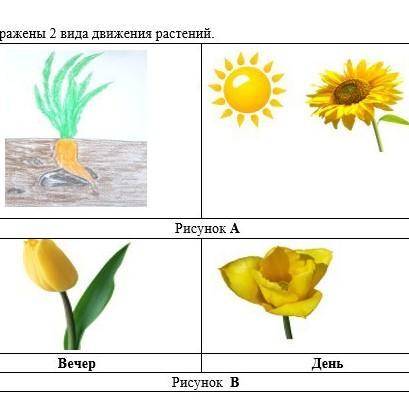 НАЗОВИТЕ 2 ВИДА ДВИЖЕНИЯ ПРЕДСТАВЛЕННЫЕ НА РИСУНКАХ А И В​