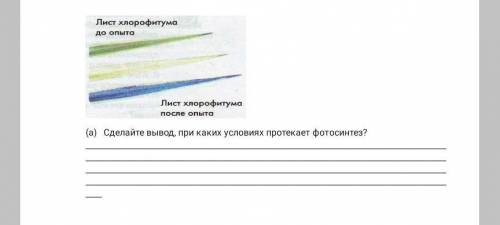 при подготовке временного микропрепарата сделай вывод при каких условиях протекает фотоситез