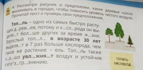 4. Рассмотри рисунок и предположи, какие деревья нужно высаживать в городах, чтобы повысить уровень