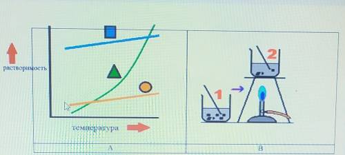 1. Как влияет температура на растворимость веществ? Используя рисунок А , поясните свой ответ.2.Опре