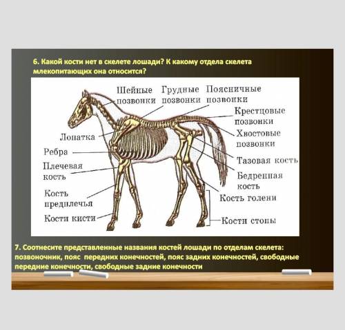 На картинке два вопроса, ответе