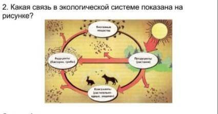 Какая связь в экологической системе показана на рисунке?