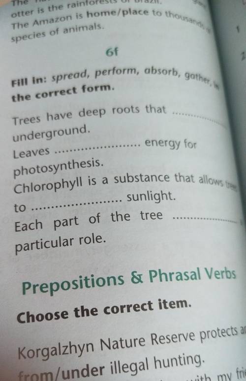 Ex.4 Page 116 Fill in :spread, perform, absorb, gather, in the correct form.​