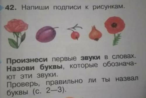 42. Напиши подписи крисункам. Произнеси первые звуки в словах.Назови буквы, которые обознача-ют эти