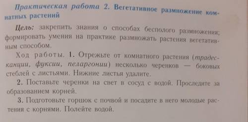 Практическая работа по биологии 6 класс!​