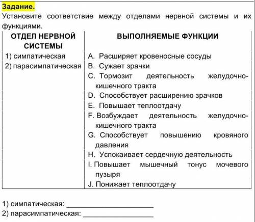 ПО БИОЛОГИИ Установите соответствие между отделами нервной системы и их функциями.​