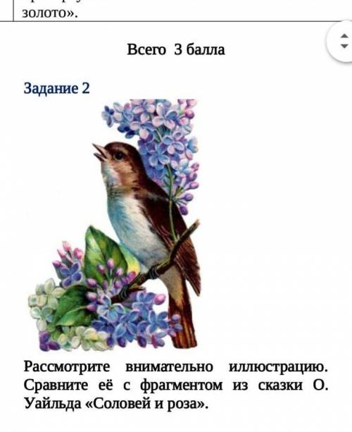 Сравните, что говорят о любви Студент и Соловей. Чьё мнение вы разделяете? СтудентСоловей«Глупость –