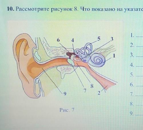 Рассмотрите рисунок 7. Что показано на указателях под цифрами 1-9? 12.3.4.5.6.7.8.9.​