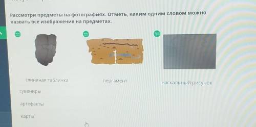 Рассмотри предметы на фотографиях. Отметь, каким одним словом можно назвать все изображения на предм