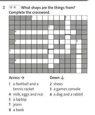 What shop are the things from? Complete the crossword​