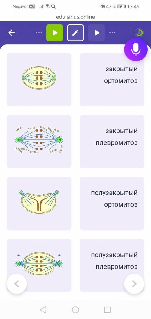 Соотнести типы митоза с их изображением.