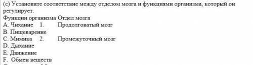 Установите соответствие между отделом мозга и функциями организма, который он регулирует. Функции ор