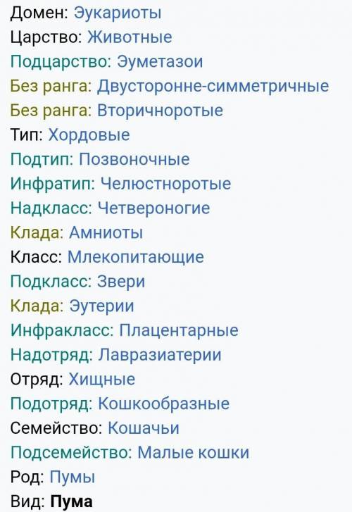 Классификация пумыЦарство:Тип:Класс:Отряд:Семейство:Род:Вид:​