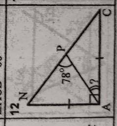 Треугольник прямоугольныйNPA=78 градусовNA=ACнайти угол PAC​