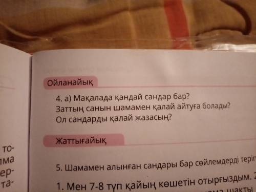 ответить на вопросы и составить план по этому же тексту