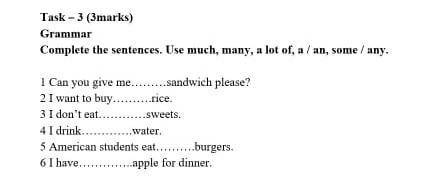 GrammarComplete the sentences. Use much, many, a lot of, a / an, some / any.1 Can you give me………sand