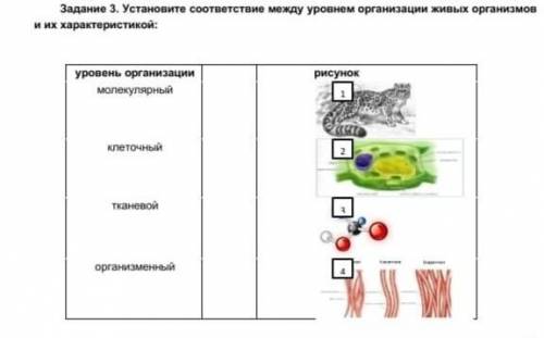 Задание 3. Установите соответствие между уровнем организации живых организмов и их характеристикой о