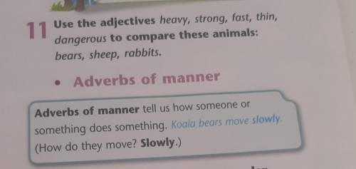 11 Use the adjectives heavy, strong, fast, thin,dangerous to compare these animals:bears, sheep, rab