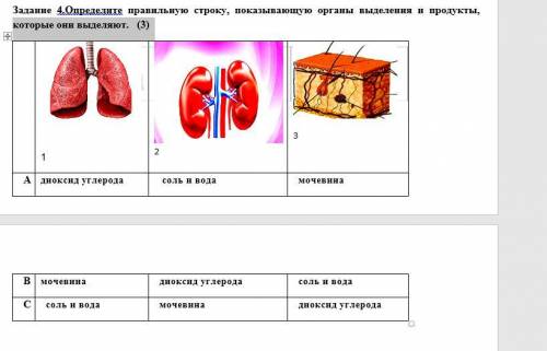 Определите правильную строку, показывающую органы выделения и продукты, которые они выделяют.