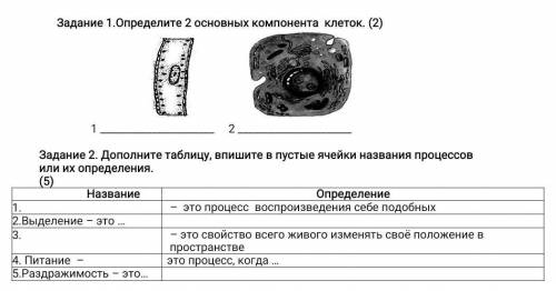 Сор по естествознанию 6 класс 3 четверть