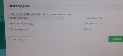 Соотнесите органы выделения и названия животных ПротонефридийДождевой червьМальпигиены сосудыБелая п